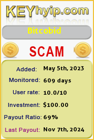 BitcoBid Limited details image on Key Hyip